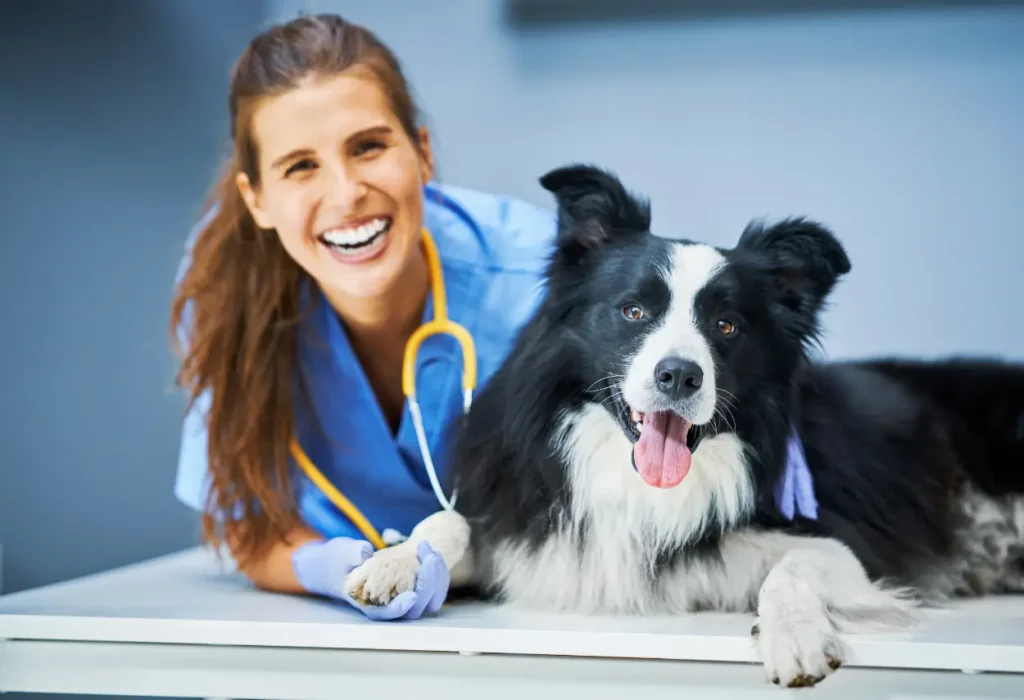 Do veterinarians have a high depression rate?