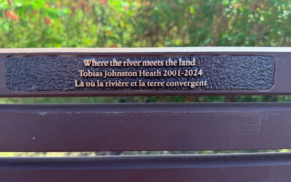 The bench remembering Pari's son Toby