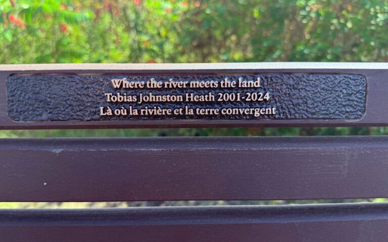 The bench remembering Pari's son Toby